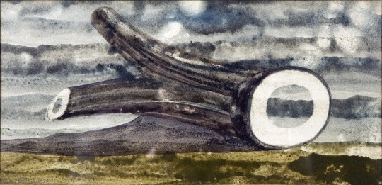 D Holt Fallen Log