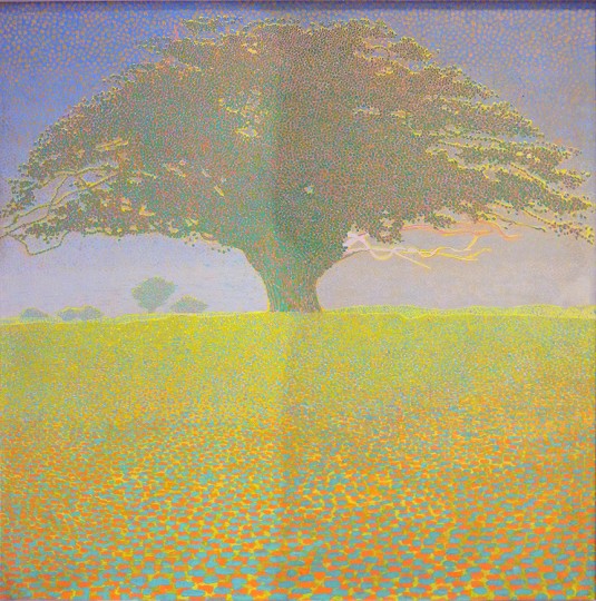 DSCN3565